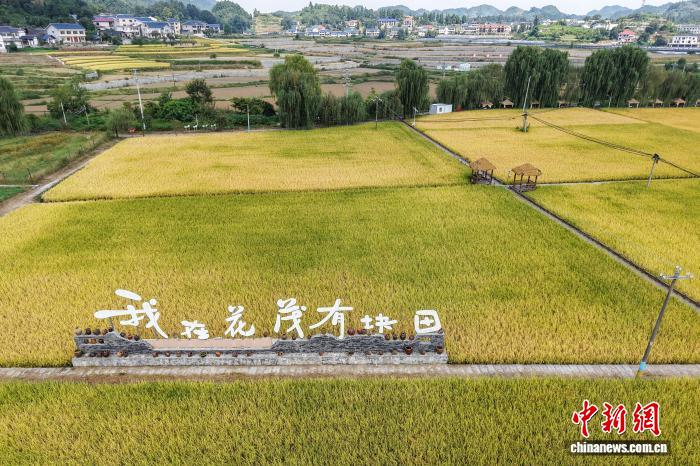 最新赛事资讯 - 斗鱼直播